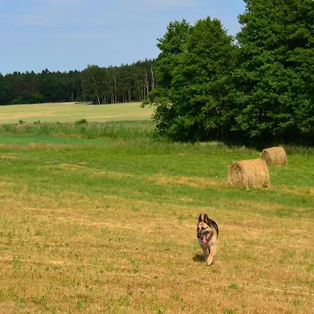 Gospodarstwo agroturystyczne żuraw