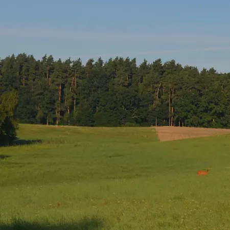 żuraw