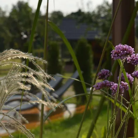 Zuraw Farm stay Bobowo